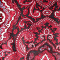 Red Paisley Scarf